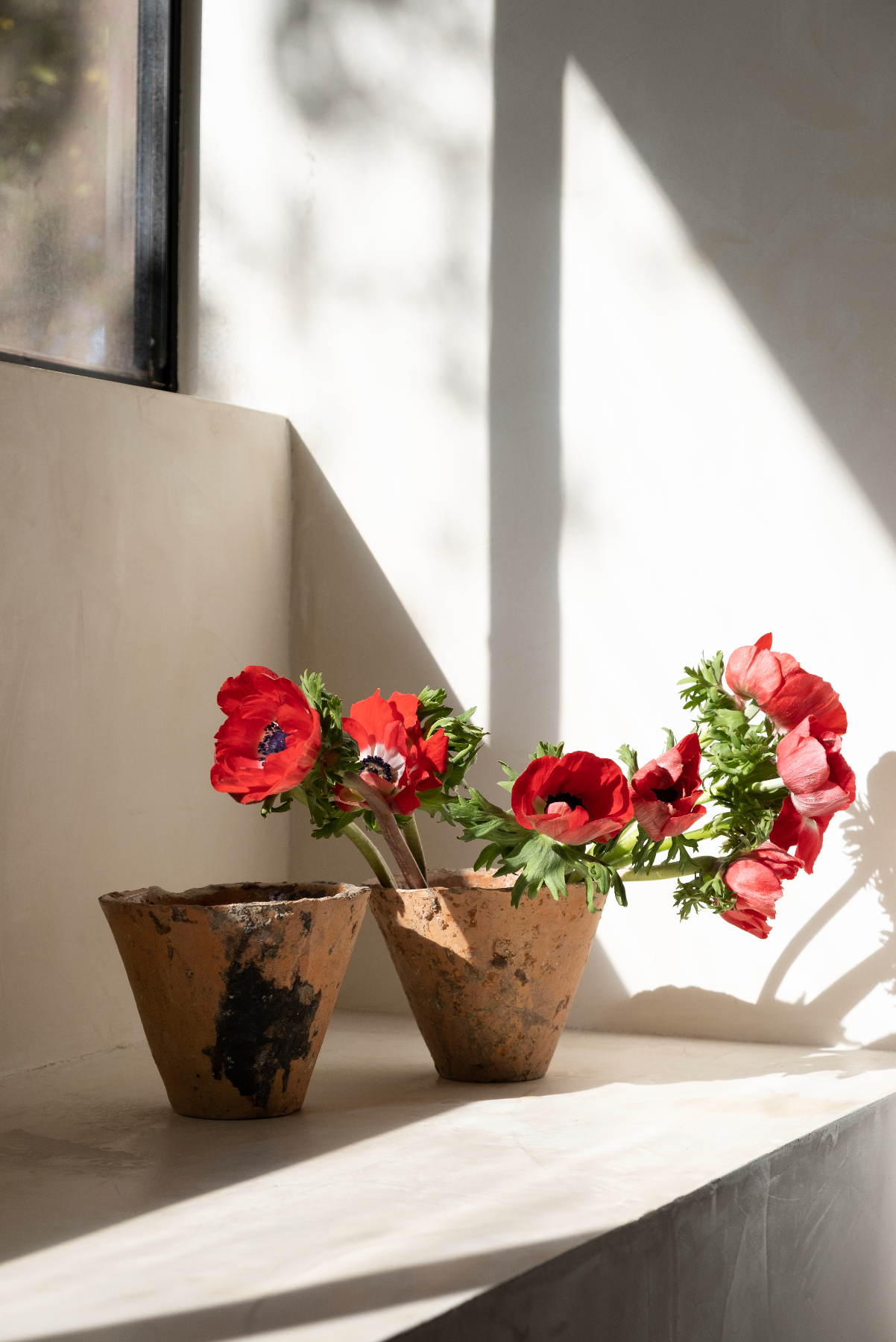 Terracota French Antique Harvesting Pots