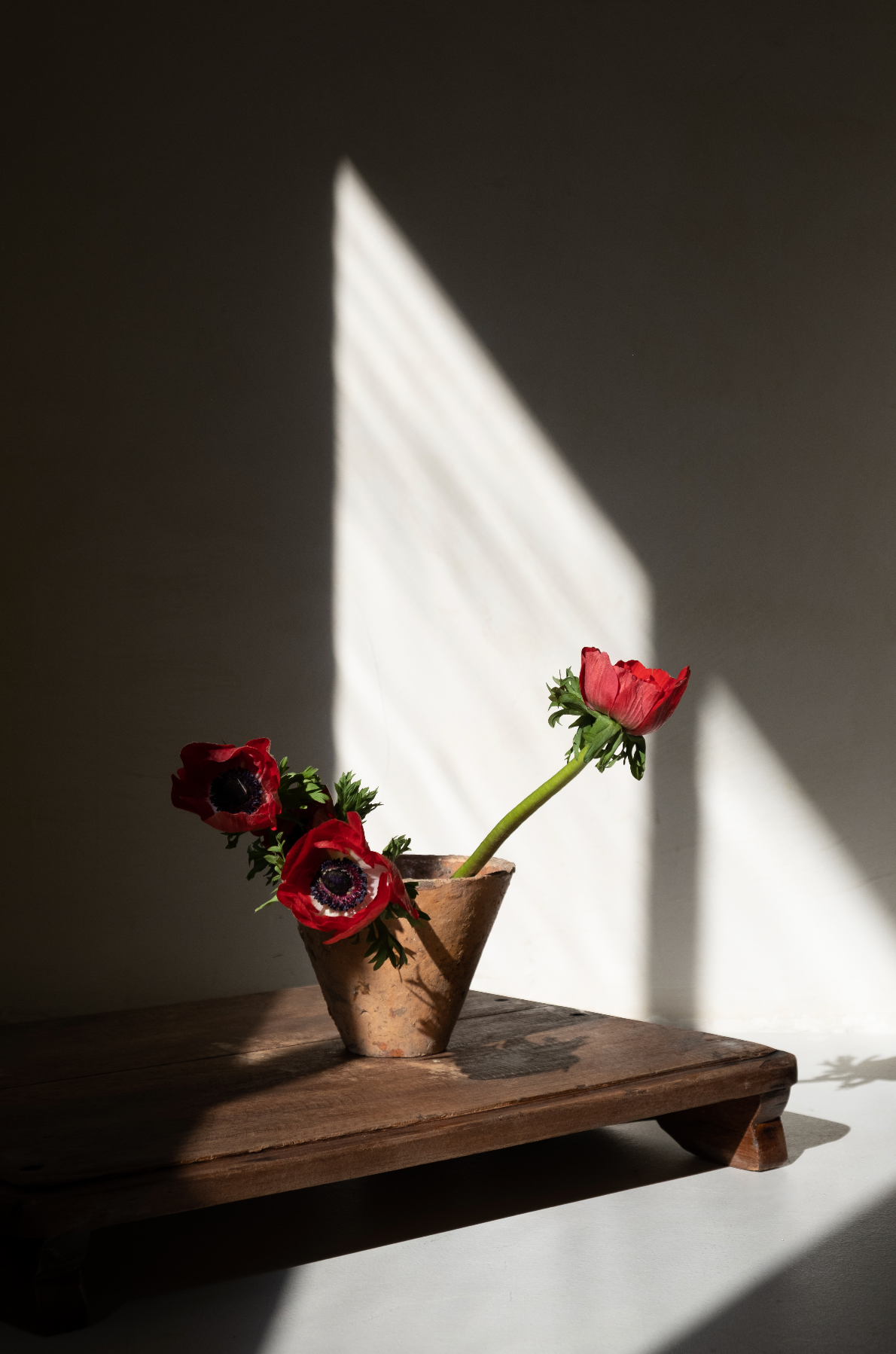 Vintage Wood Stand, Bajot